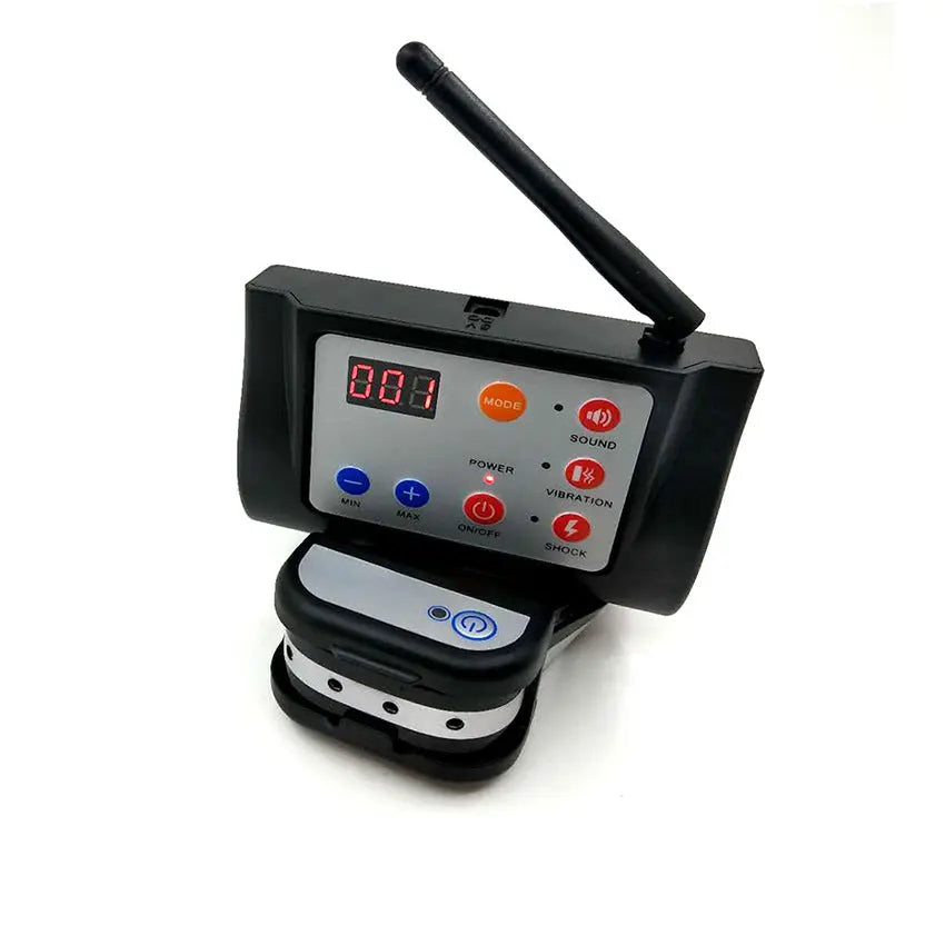 Two-in-one dog training device null