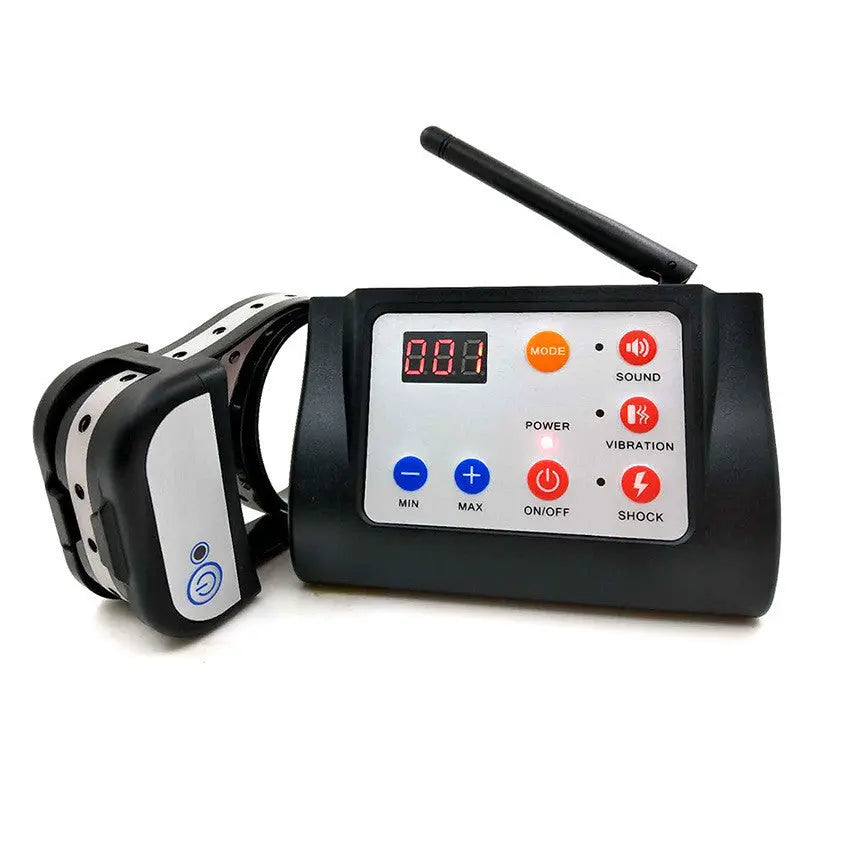 Two-in-one dog training device null