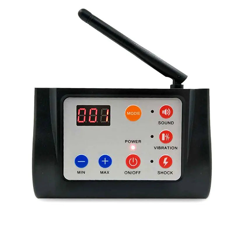 Two-in-one dog training device null