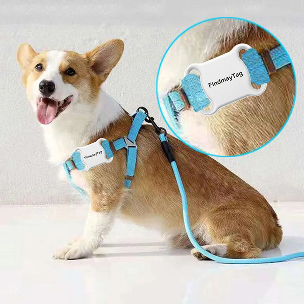 Smart Pet Cat Dog GPS Locator null