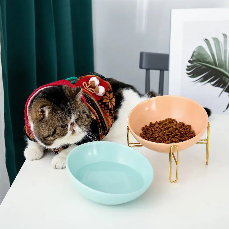 Pet bowl pet supplies null
