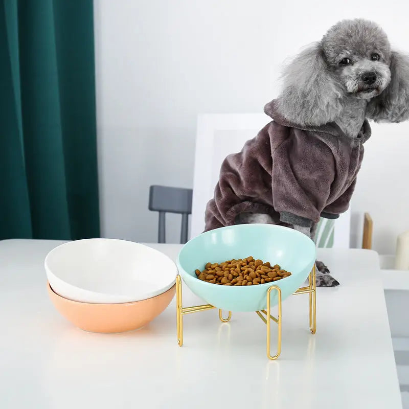 Pet bowl pet supplies null