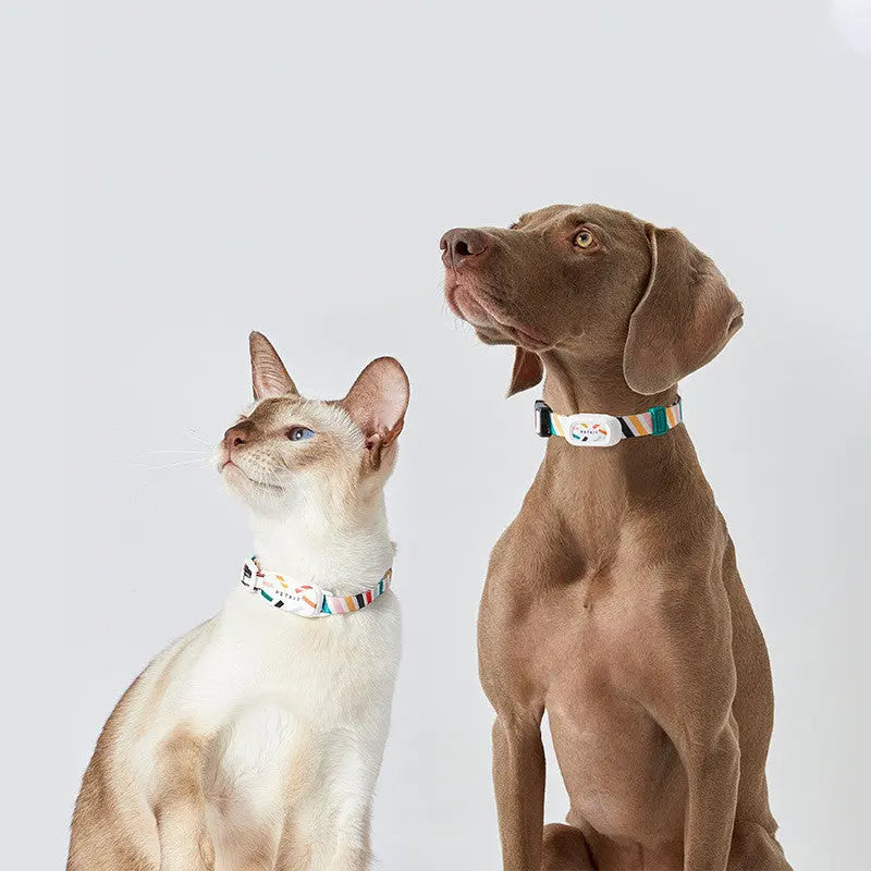 Pet Smart Wearable Bluetooth Device Cat Brand Dog Brand null