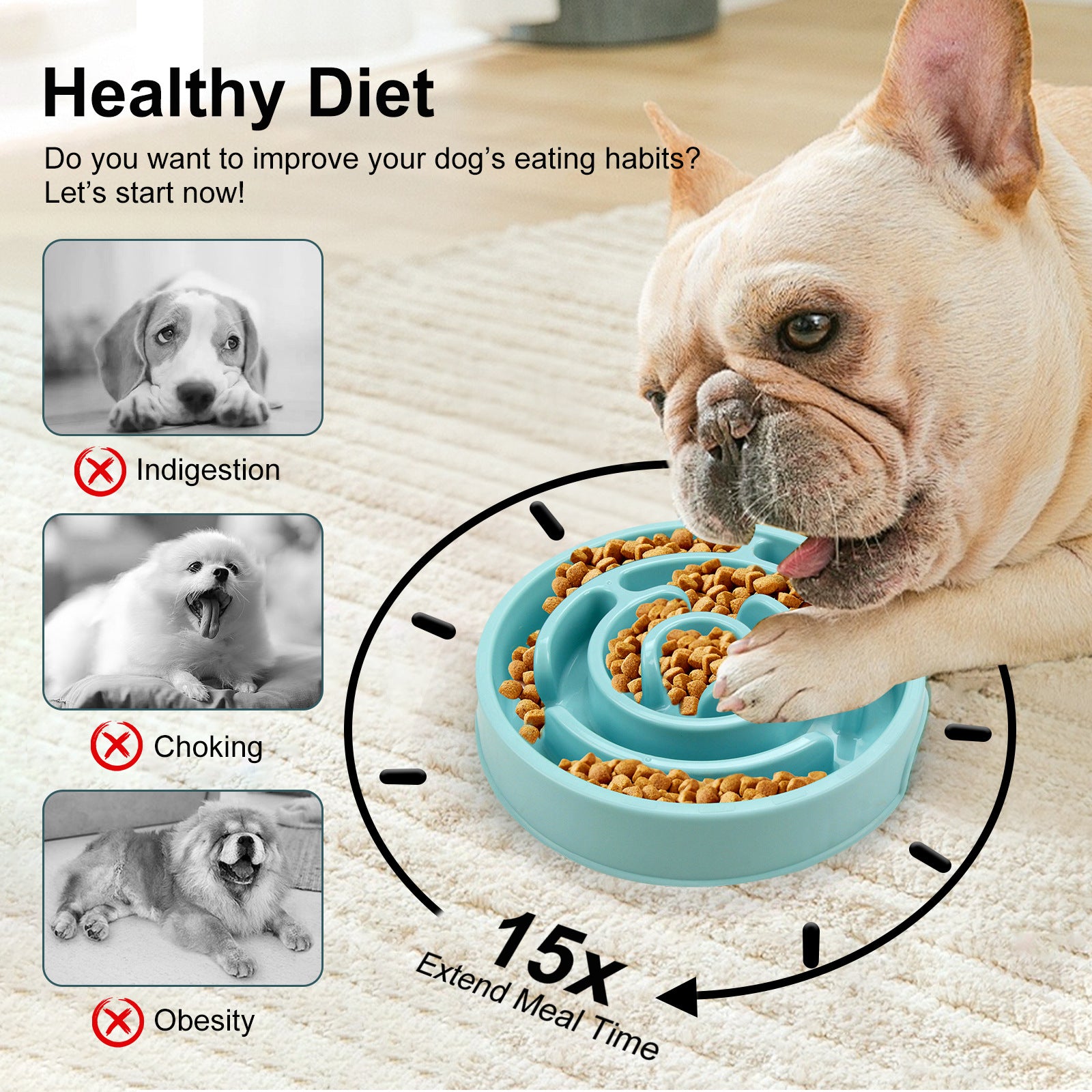 Slow Feeder Dog Bowls