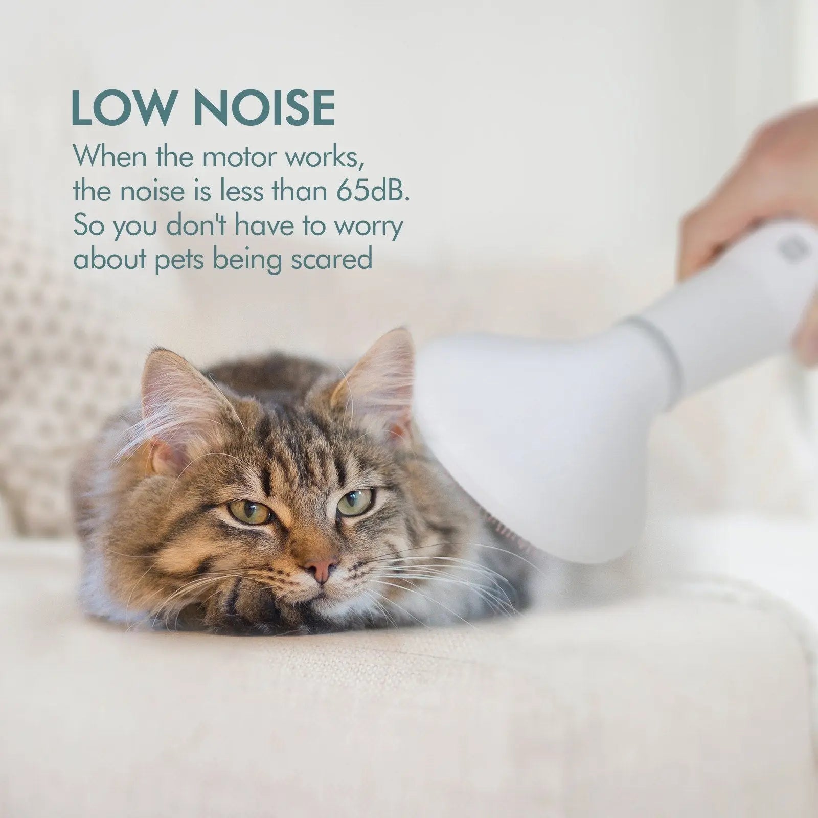 Dadypet Pet Dog Hair Dryer Grooming Dryer Slicker Brush null