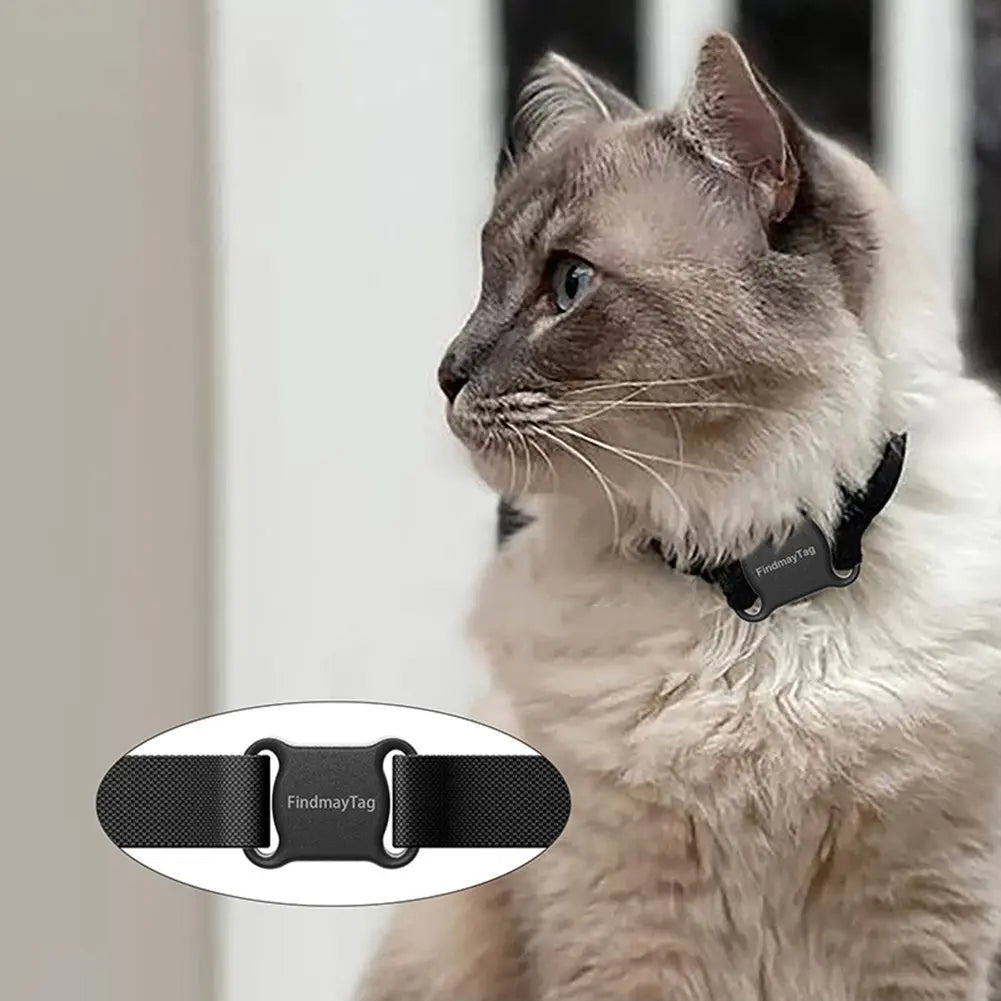 Smart Pet Cat Dog GPS Locator null